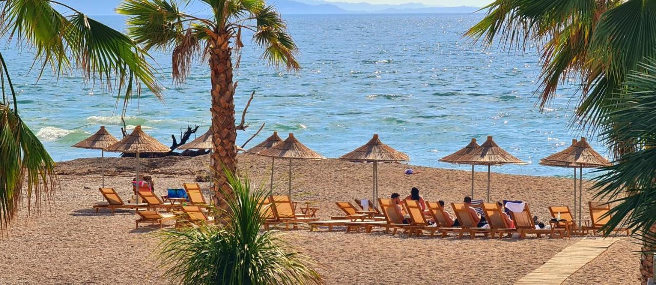 Seaview Studio 100 M From Bistrica Leilighet *